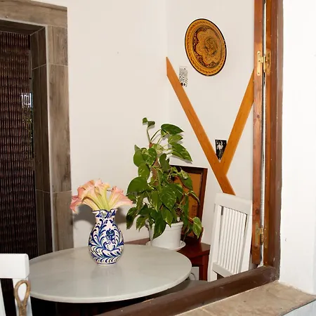 Con Jacuzzi En Conil De La Frontera Apartment